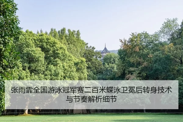 张雨霏全国游泳冠军赛二百米蝶泳卫冕后转身技术与节奏解析细节