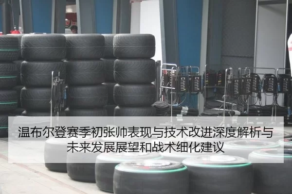 温布尔登赛季初张帅表现与技术改进深度解析与未来发展展望和战术细化建议