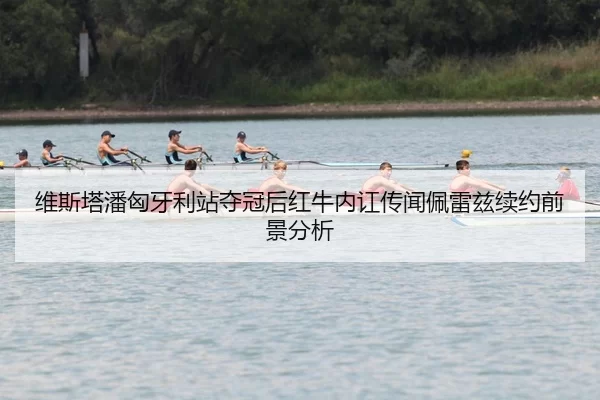 wei-si-ta-pan-xiong-ya-li-zhan-duo-guan-hou-hong-niu-nei-hong-chuan-wen-pei-lei-zi-xu-yue-qian-jing-fen-xi-3-450.jpg